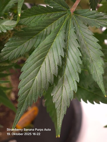 Growreport Bild 16
