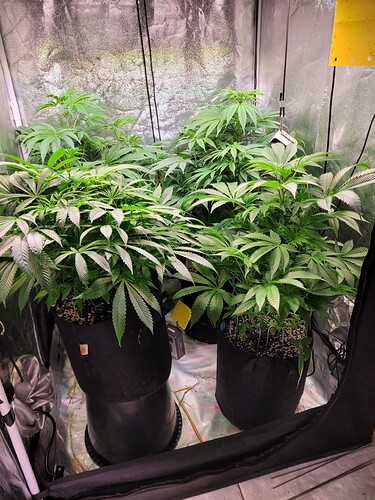 Growreport Bild 3