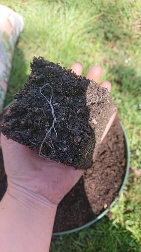 Growreport Bild 20