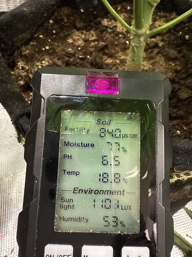 Growreport Bild 11