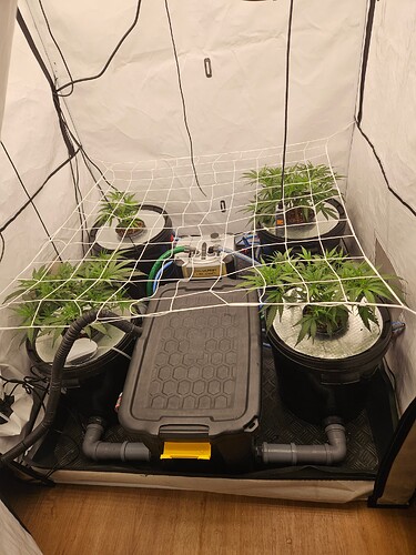 Growreport Bild 7