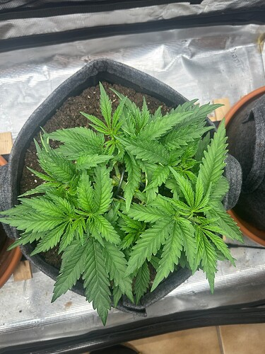 Growreport Bild 19