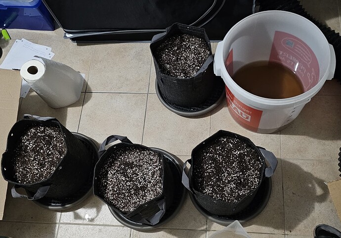 Growreport Bild 53