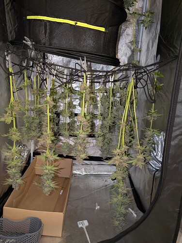 Growreport Bild 7