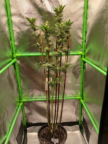 Growreport Bild 26