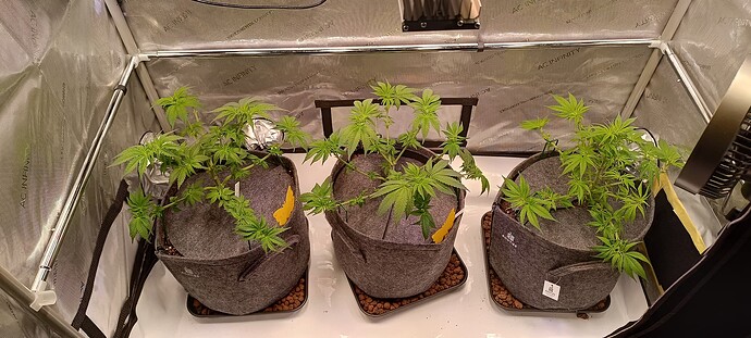 Growreport Bild 5