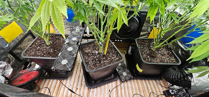 Growreport Bild 56
