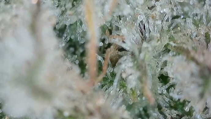 Growreport Bild 19