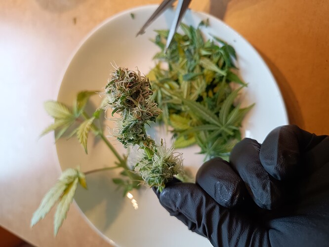 Growreport Bild 10