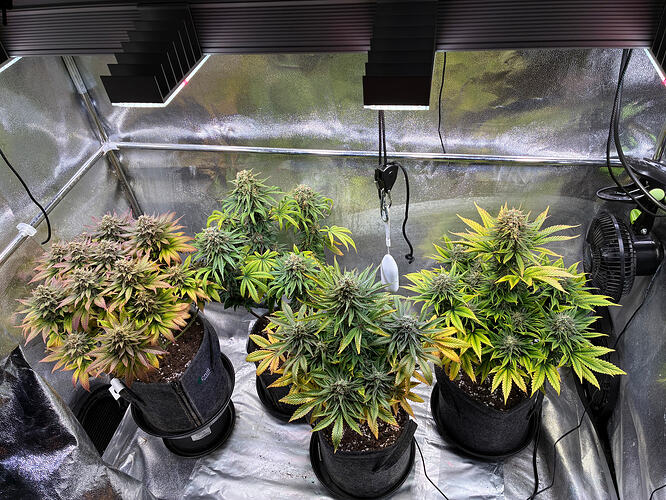 Growreport Bild 6