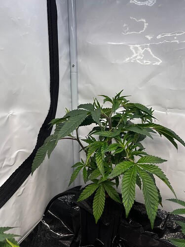 Growreport Bild 10