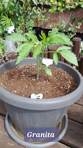 Growreport Bild 14