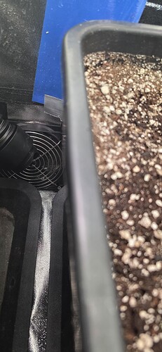 Growreport Bild 33