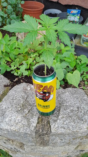 Growreport Bild 11