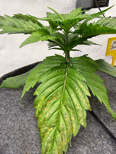 Growreport Bild 22