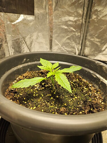 Growreport Bild 16