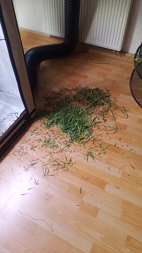 Growreport Bild 7