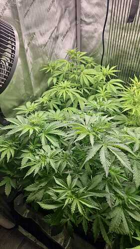 WhatsApp Bild 2024-05-06 um 20.27.14_b8010f9b