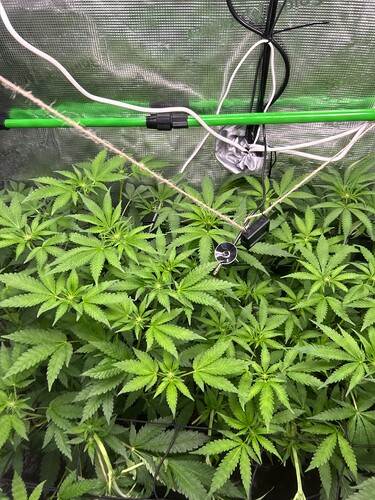 Growreport Bild 24
