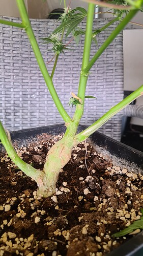 Growreport Bild 26