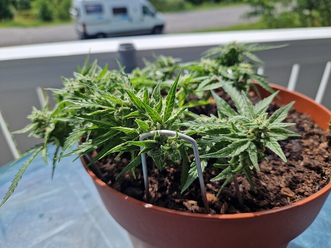 Growreport Bild 11
