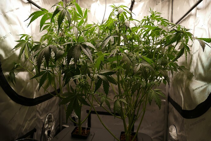 Growreport Bild 11