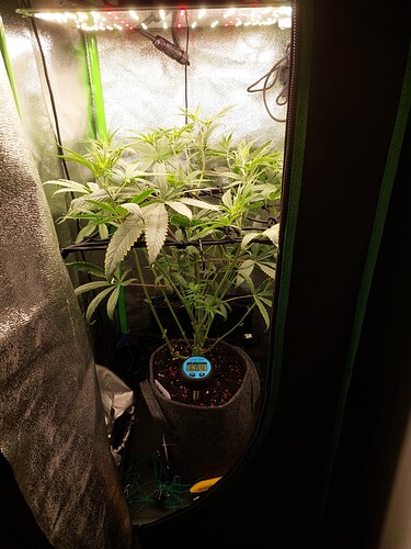 Growreport Bild 3