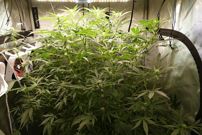 Growreport Bild 11