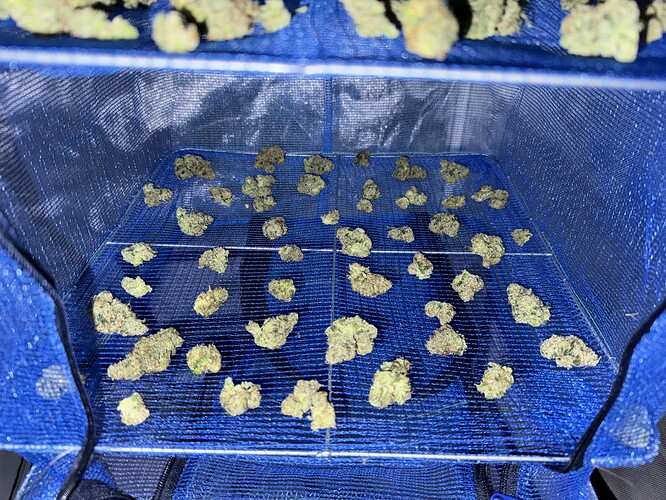 Growreport Bild 45