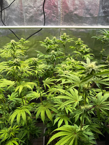 Growreport Bild 22