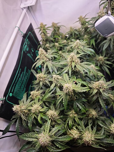 MVIMG_20251114_155651