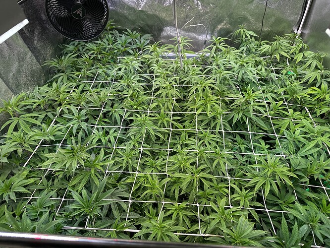 Growreport Bild 12