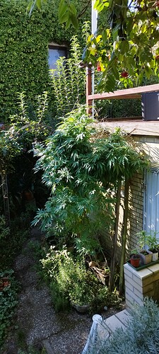 Growreport Bild 14