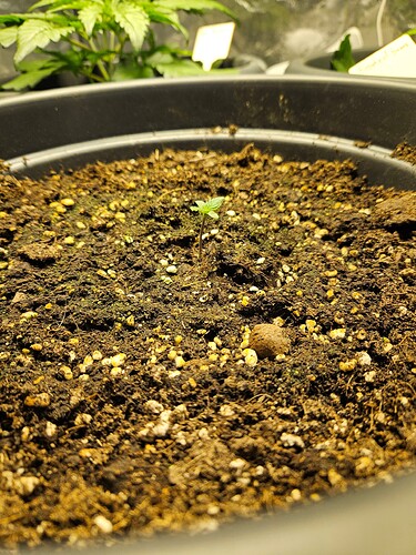 Growreport Bild 18