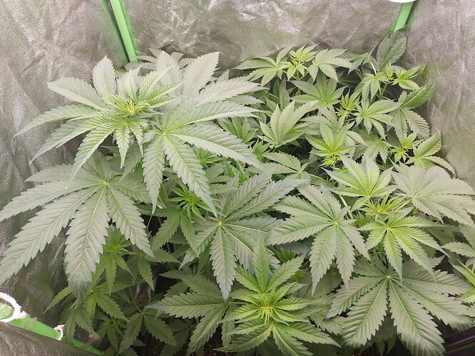 Growreport Bild 12