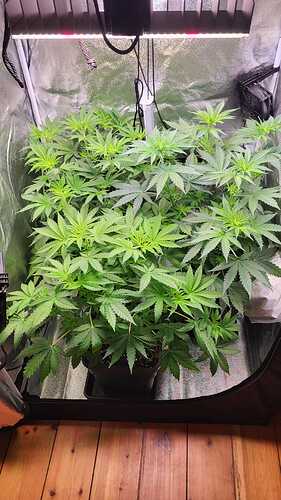 Growreport Bild 12