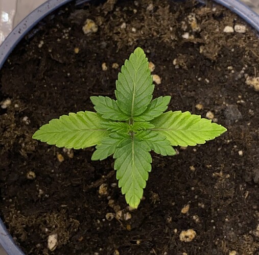 Growreport Bild 22