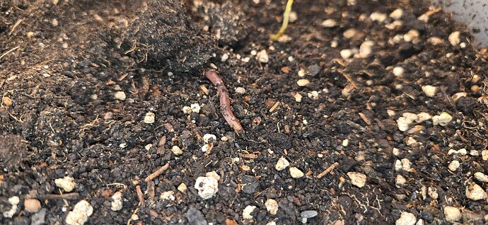 Growreport Bild 16