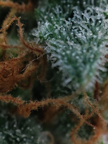 Growreport Bild 23