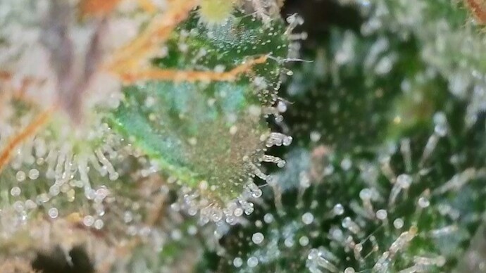 Growreport Bild 17