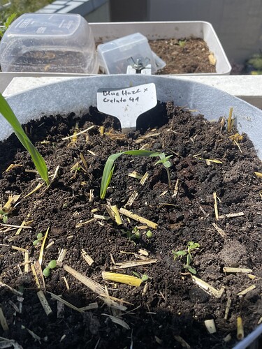 Growreport Bild 16