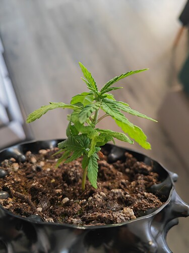Growreport Bild 15