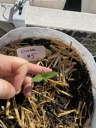 Growreport Bild 8