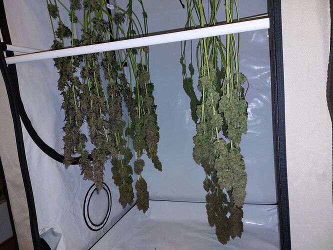 Growreport Bild 11