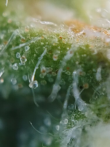 IMG_20240716_140030_hdr