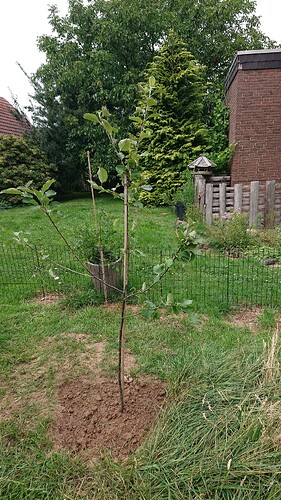 Growreport Bild 21