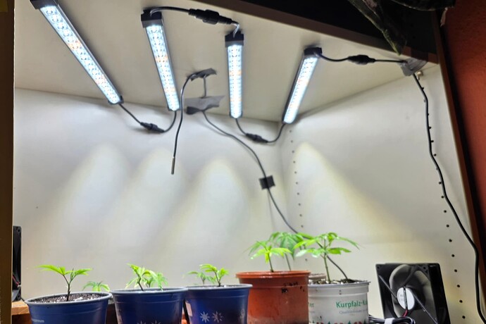 Growreport Bild 18