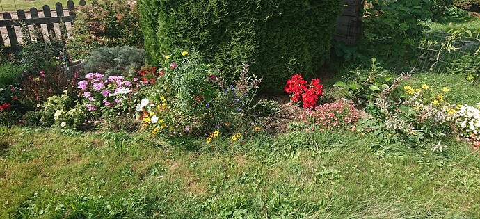 Growreport Bild 18