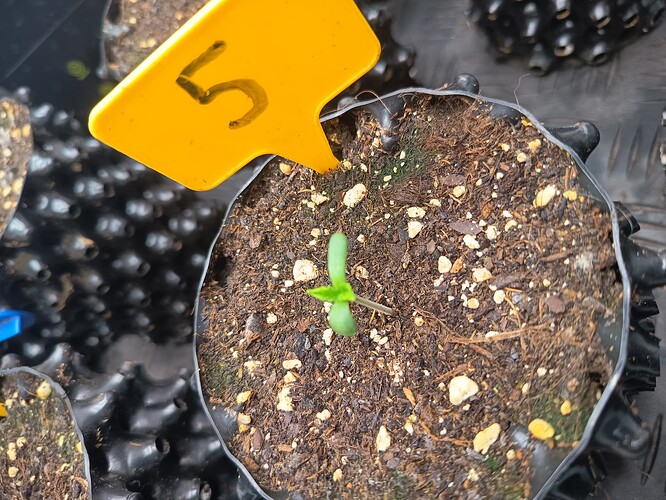 Growreport Bild 39