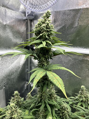 Growreport Bild 9